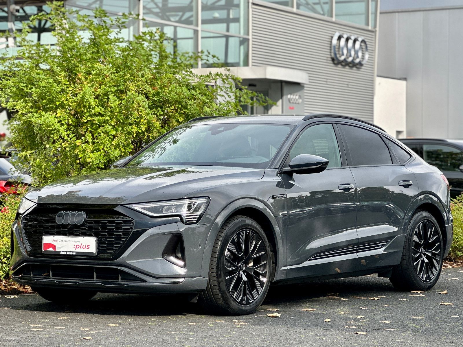 Audi Q8 e-tron